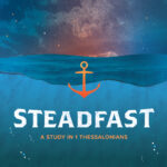 Steadfast thumbnail