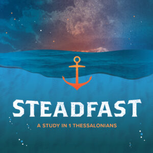 Steadfast thumbnail